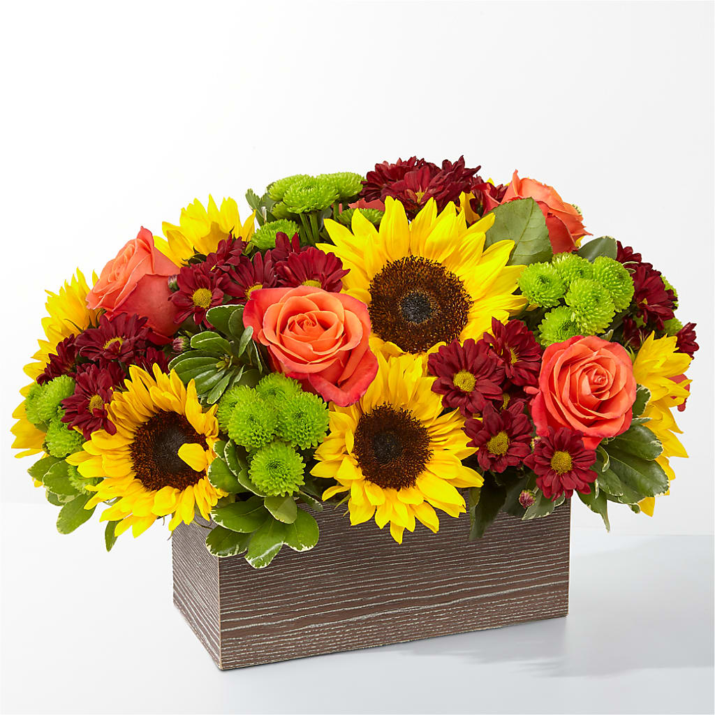 Happy Harvest Garden – Misrak Dicore And Event Organizer, Springfield VA