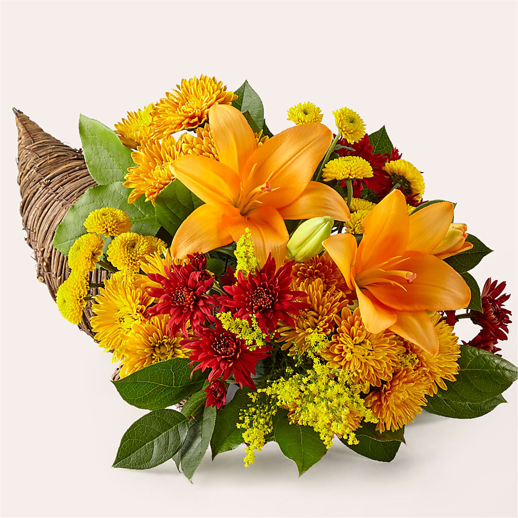 Feast of Color Cornucopia – Misrak Dicore And Event Organizer, Springfield VA