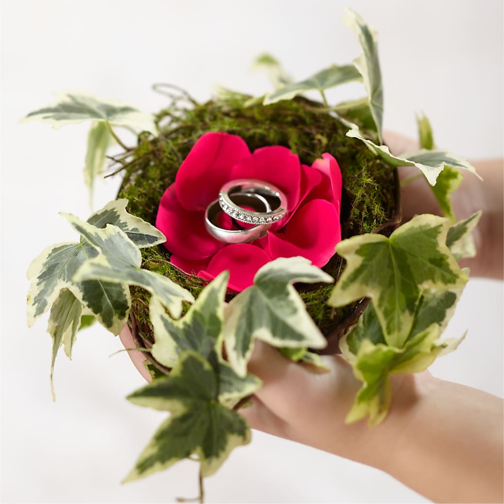 Lila Rose Ring Nest – Misrak Dicore And Event Organizer, Springfield VA