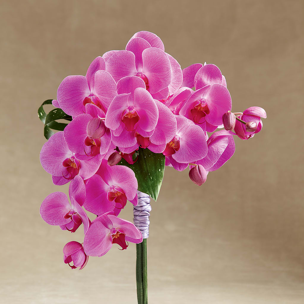 Glorious Bouquet – Misrak Dicore And Event Organizer, Springfield VA