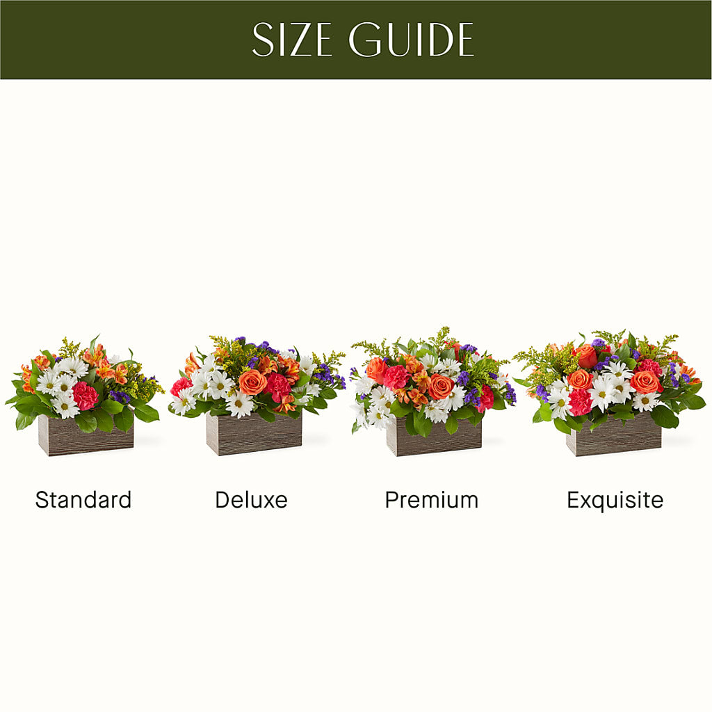 Oopsie Daisy Box Bouquet –  Misrak Dicore And Event Organizer, Springfield VA