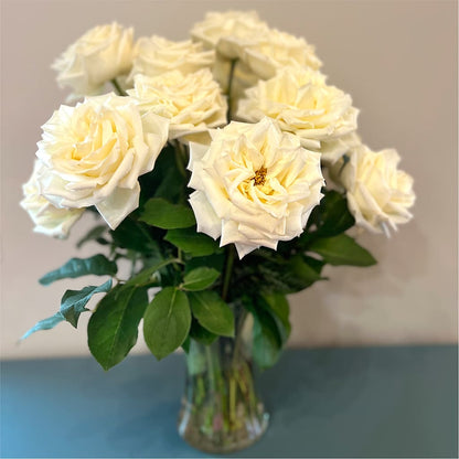Long Stem Yellow Rose Bouquet –  Misrak Dicore And Event Organizer, Springfield VA