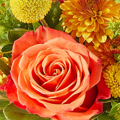 Gourdgeous Pumpkin –  Misrak Dicore And Event Organizer, Springfield VA