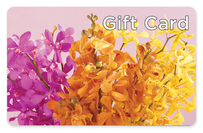 Gift Card –  Misrak Dicore And Event Organizer, Springfield VA