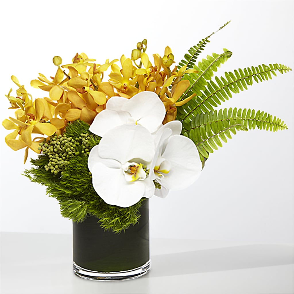 The Tropics –  Misrak Dicore And Event Organizer, Springfield VA