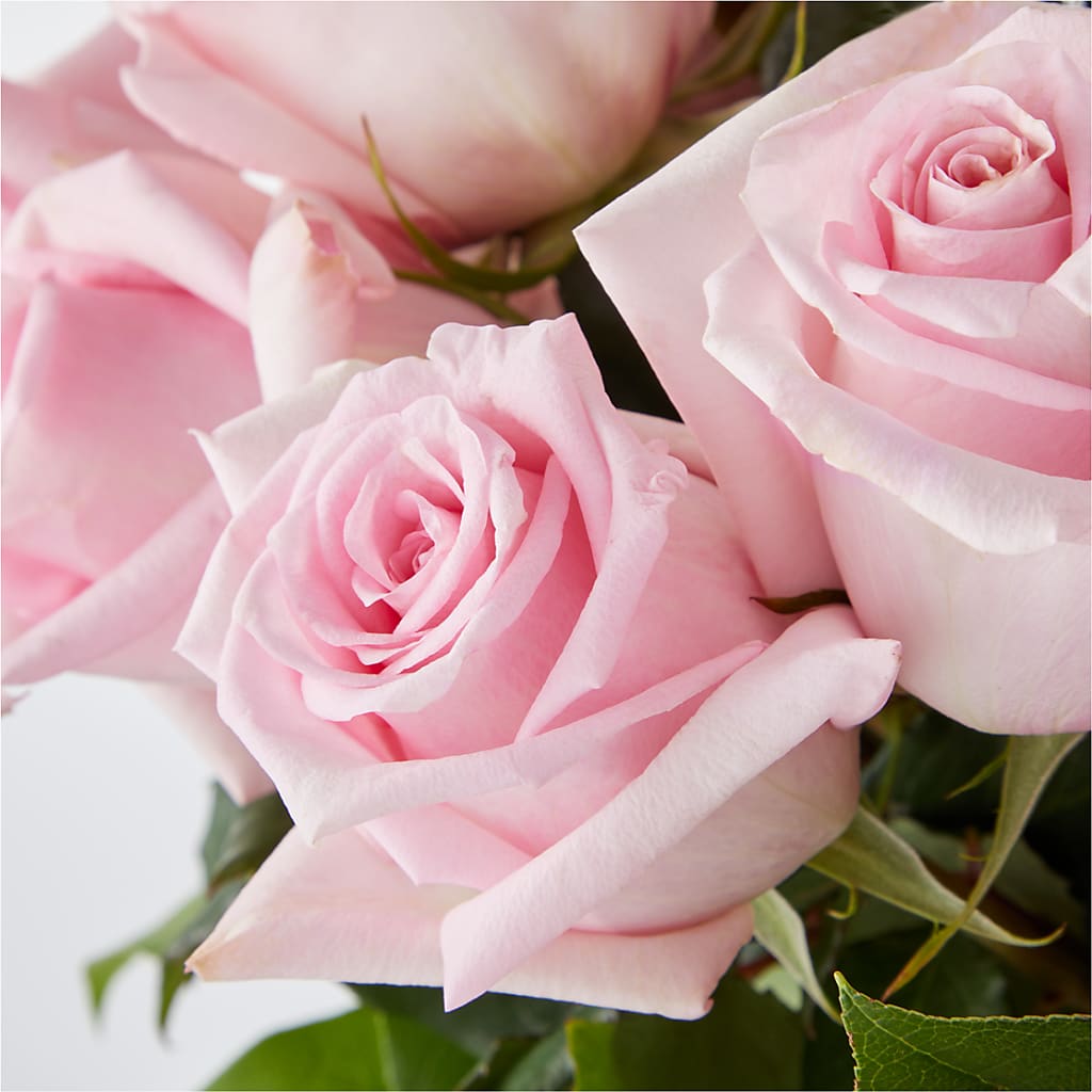 Picture Perfect Pink Rose Bouquet –  Misrak Dicore And Event Organizer, Springfield VA
