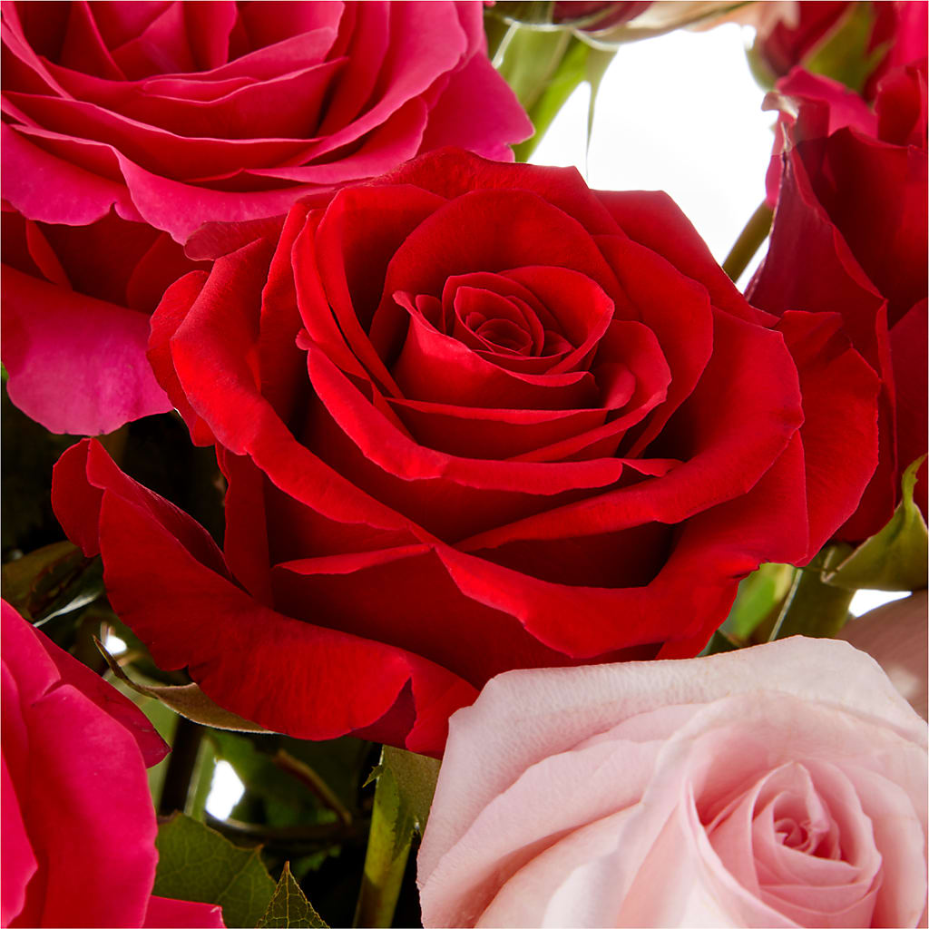 Love Notes Rose Bouquet –  Misrak Dicore And Event Organizer, Springfield VA