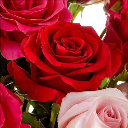 Love Notes Rose Bouquet –  Misrak Dicore And Event Organizer, Springfield VA