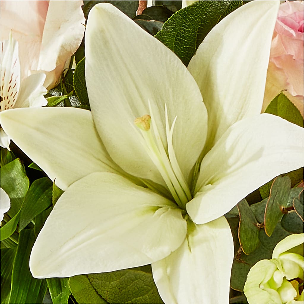 Ballet Slippers Bouquet –  Misrak Dicore And Event Organizer, Springfield VA